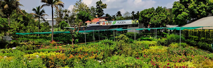 Yugen Agro Garden One of the largest Nursery in Kottai Nedumbassery Kerala