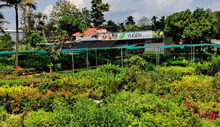 Yugen Agro Garden One of the largest Nursery in Kottai Nedumbassery Kerala