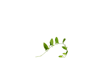 Yugen Agro Garden One of the largest Nursery in Kottai Nedumbassery Kerala